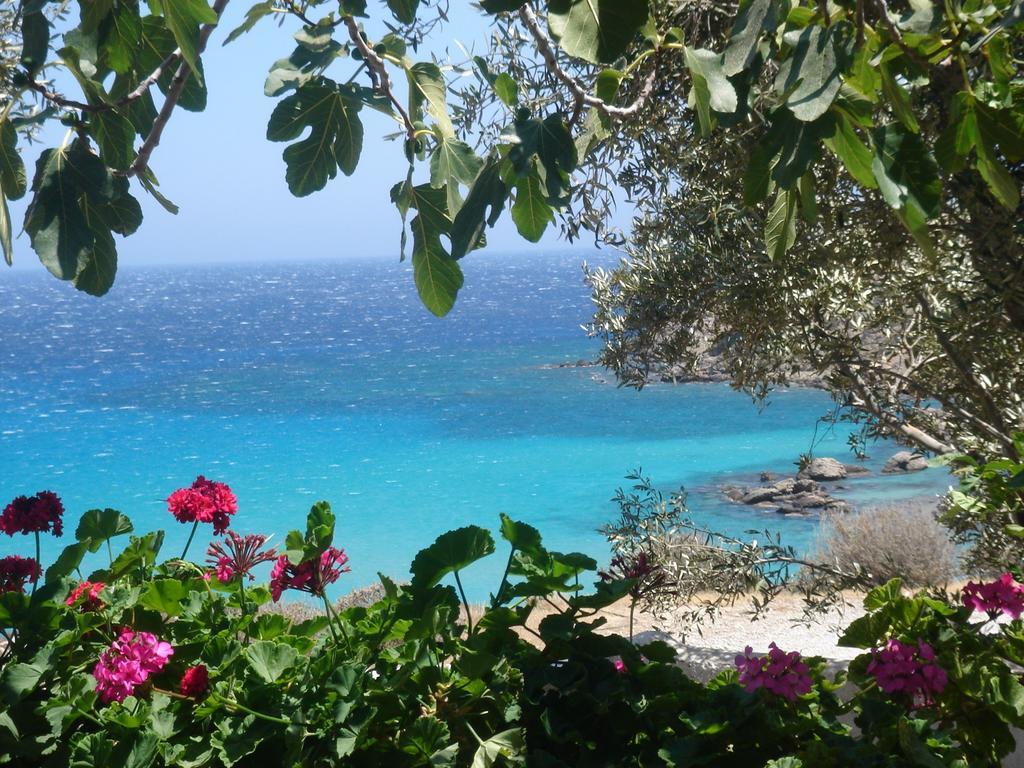 Poseidon Blue Gastronomy Hotel Afiartis Exteriör bild